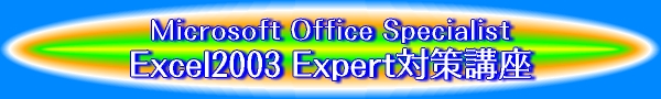 Microsoft Office Specialist Excel2003 Expert�΍�u��