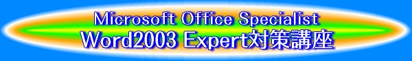 Microsoft Office Specialist Word2003 Expert�΍�u��