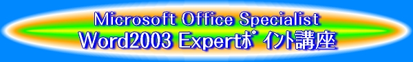 Microsoft Office Specialist Word2003 Expert�|�C���g�u��
